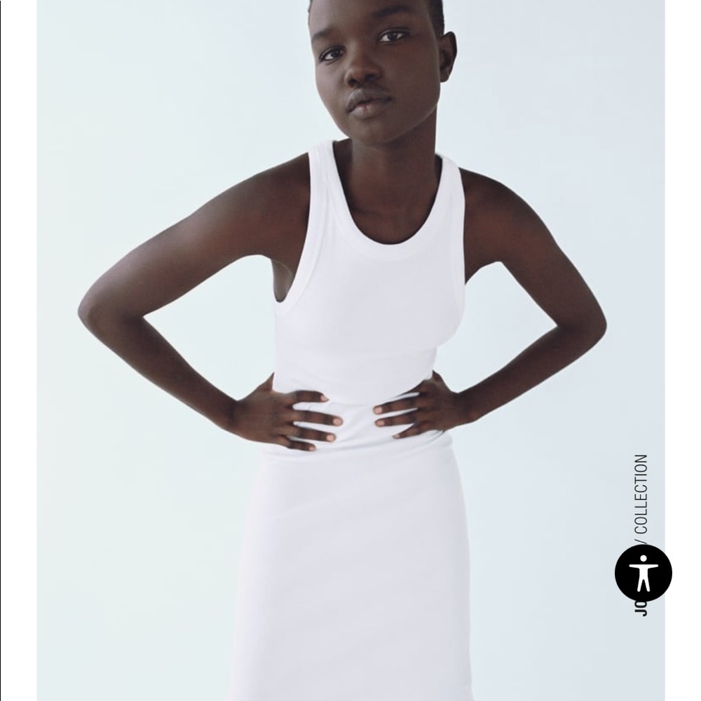 Zara Dress